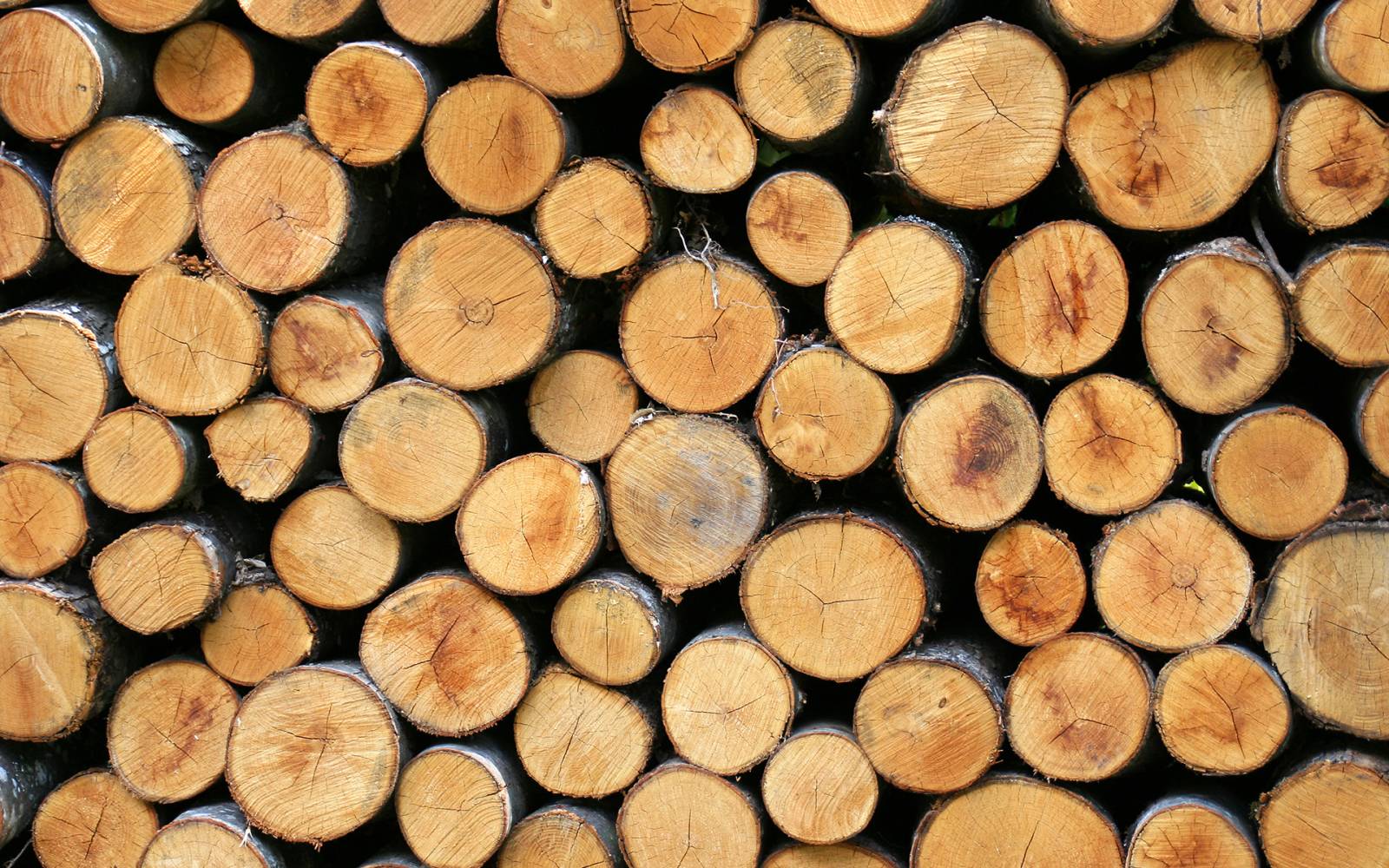 vente buche de bois de chauffage 